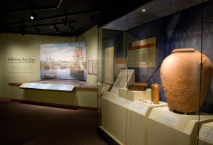 Museum Move Image