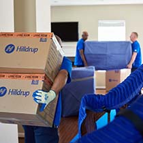 Hilldrup movers carrying boxes