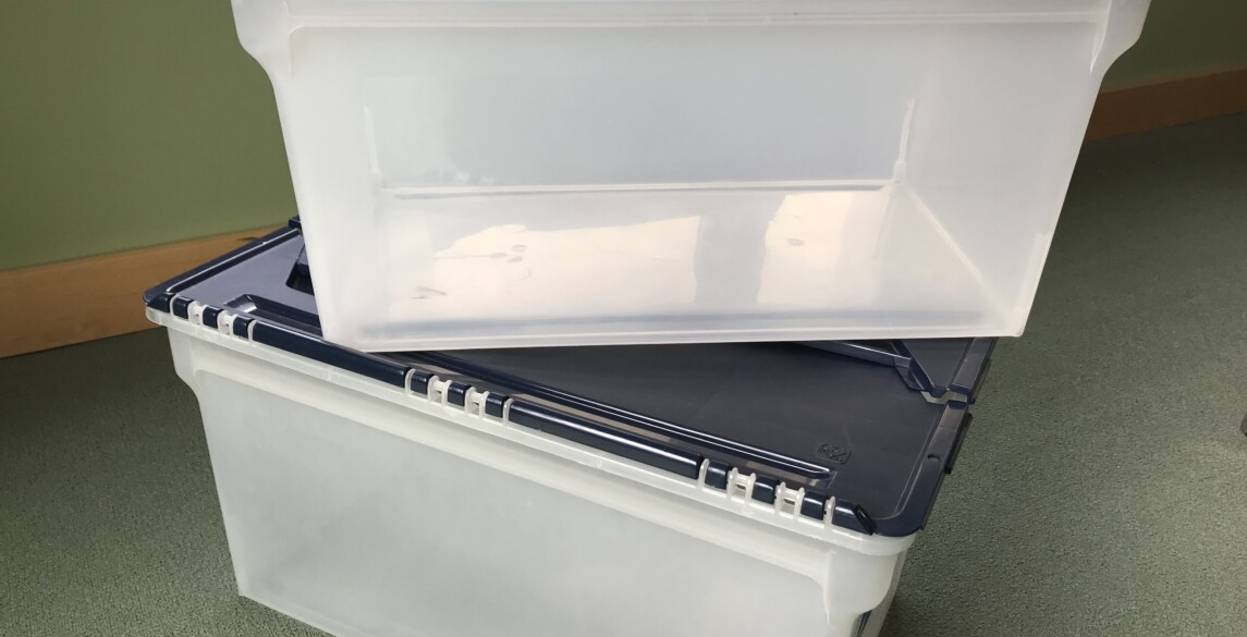 Image for Thinking of using storage bins for your move? Read this first.