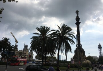 Palm trees and a statue in Barcelona, Spain