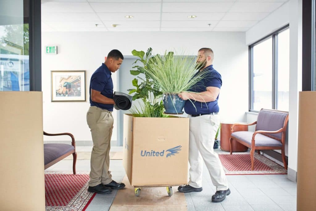 Hilldrup employees packing office items into a box