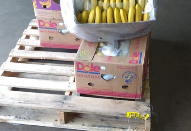 Boxes of bananas sitting on a pallet in a warehouse