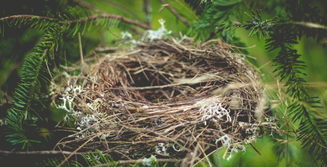 Image for So You’re an Empty Nester – Is It Time to Downsize Your Home?