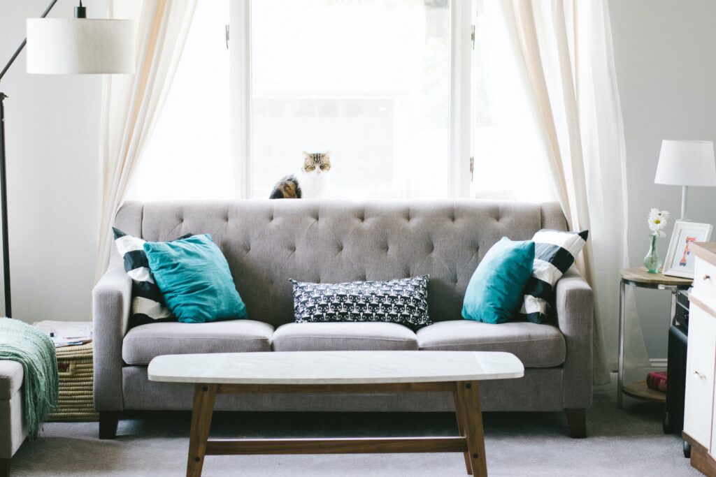 Picture of a living room with a gray couch and teal pillows, against a window.