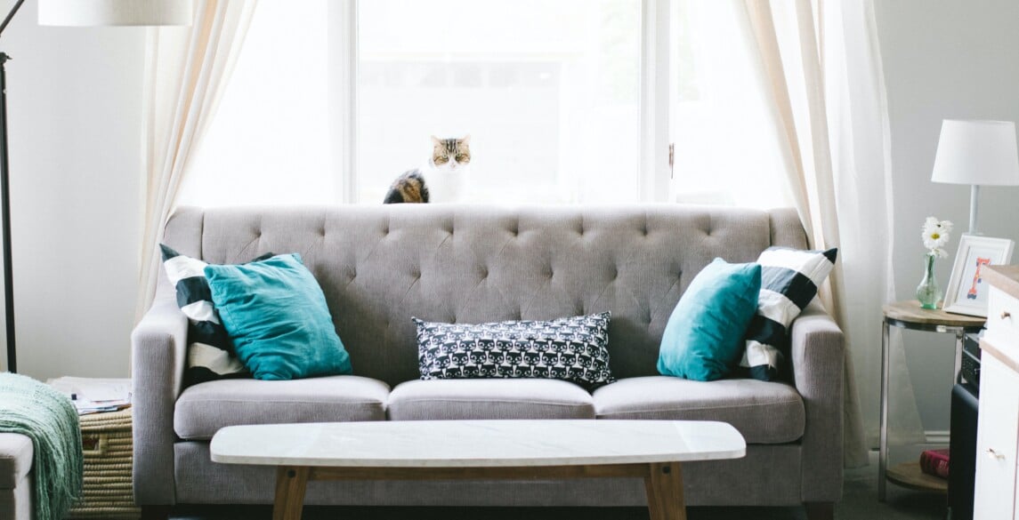 Picture of a living room with a gray couch and teal pillows, against a window.