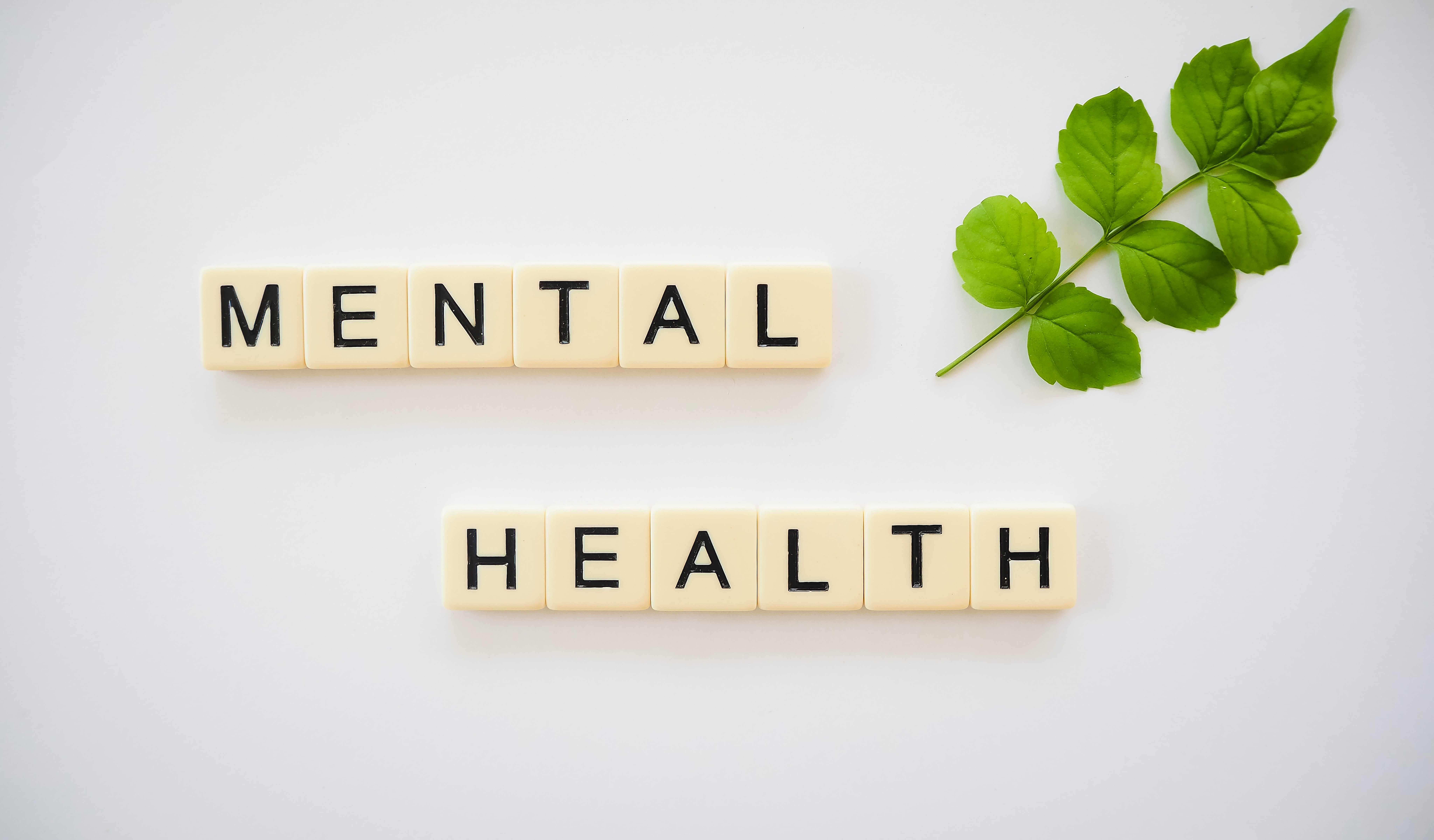 Tiles that spell out mental health with a green leaf.