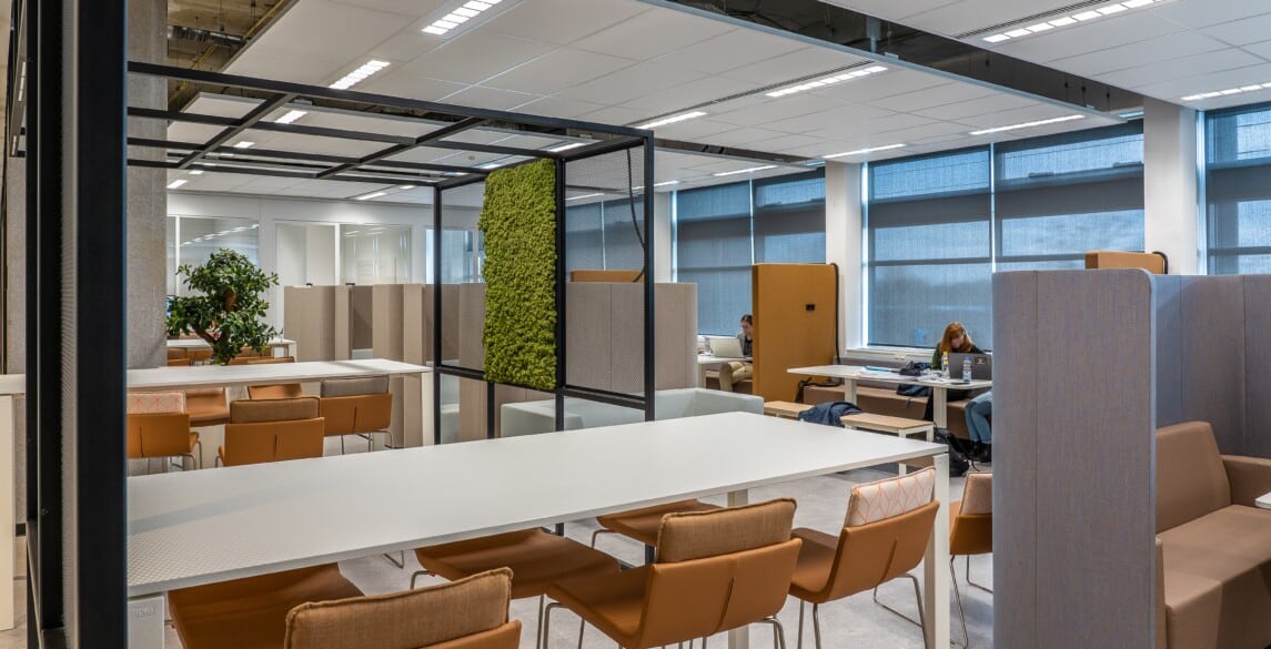 View of open space office with bright and clean aesthetic